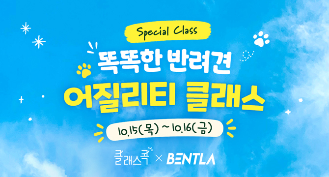 Special Class
똑똑한 반려견 어질리티 클래스
10월 15일 목요일부터 10월 16일 금요일
클래스콕, BENTLA