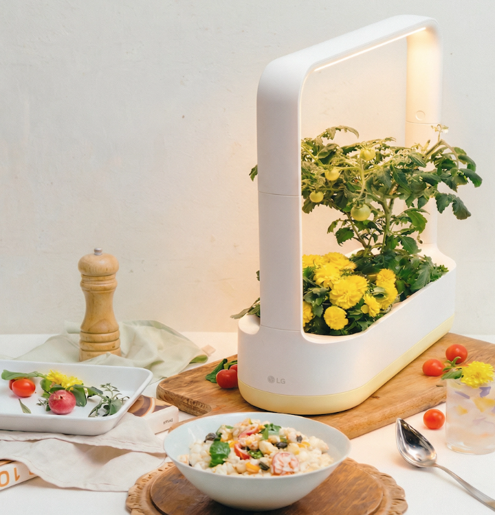 LG틔운✨ 씨앗에서 식탁까지 🌿 HOME HARVESTING 클래스의 썸네일 이미지입니다.