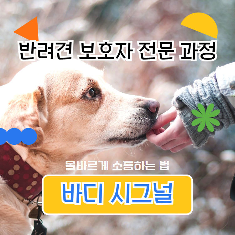반려견 보호자 전문 과정 (소통하기, 바디시그널)의 썸네일 이미지입니다.