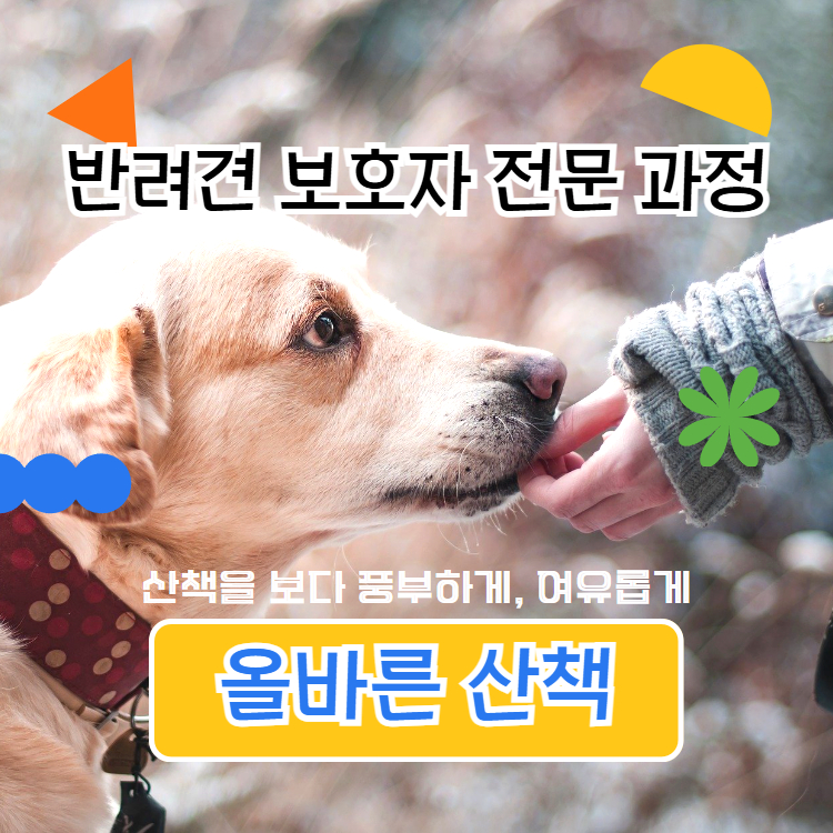 반려견 보호자 전문 과정 (올바른 산책)의 썸네일 이미지입니다.