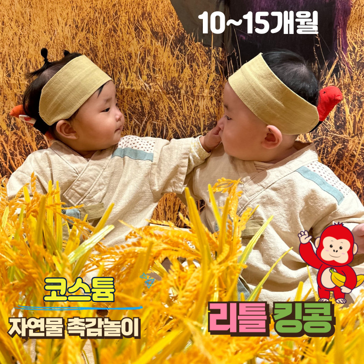 [10월/화]코스튬 자연물 촉감놀이 리틀킹콩 (5~9개월)의 썸네일 이미지입니다.